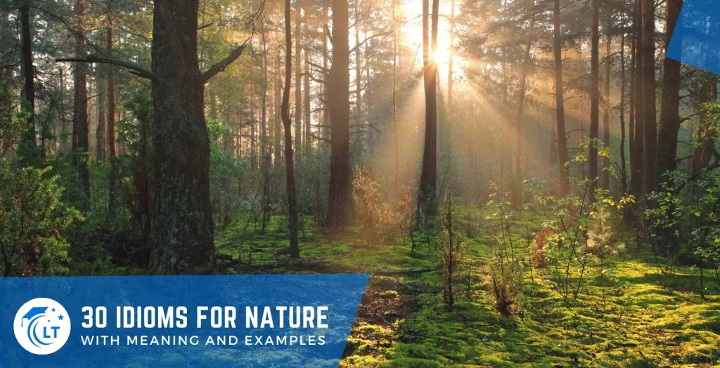 nature expressions examples