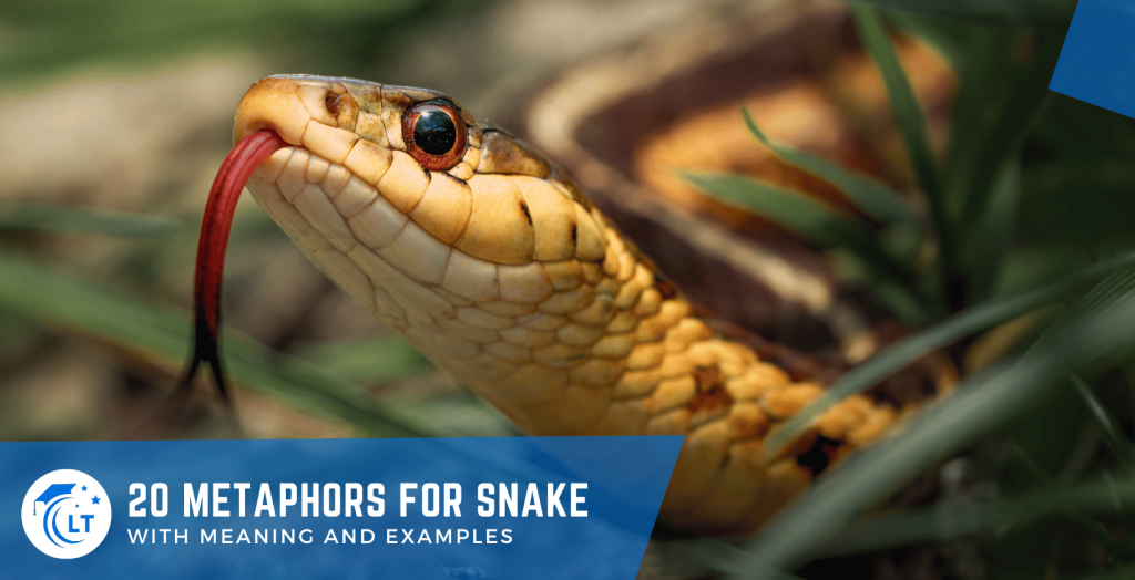 snake metaphors examples