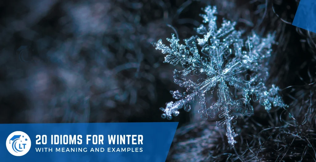 winter expressions examples