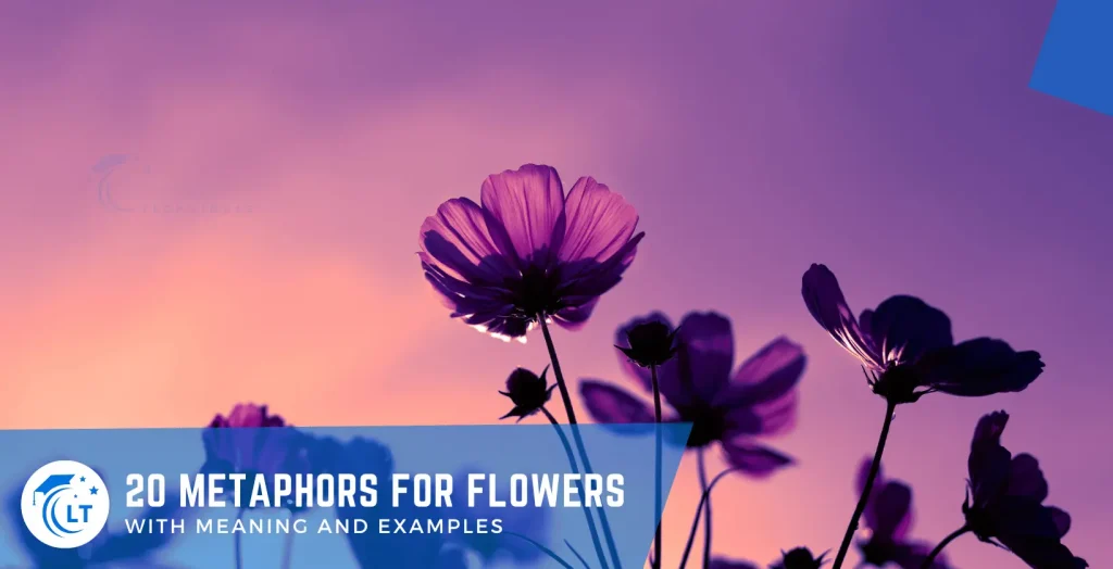 metaphors for flowers