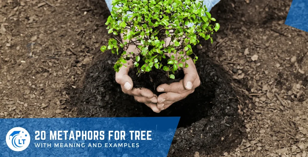 metaphors for tree